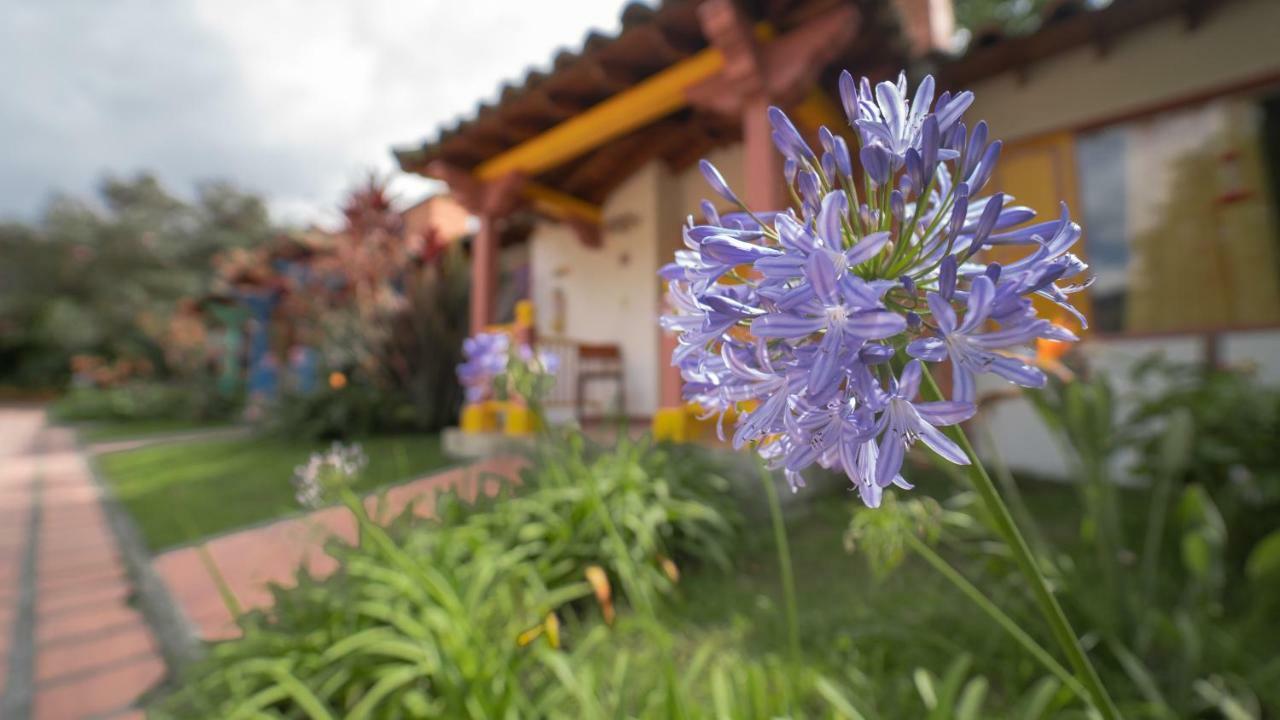 马尼萨莱斯 Termales El Otono酒店 外观 照片 Agapanthus africanus